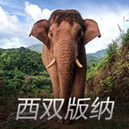 如何让学生比AI更聪明?